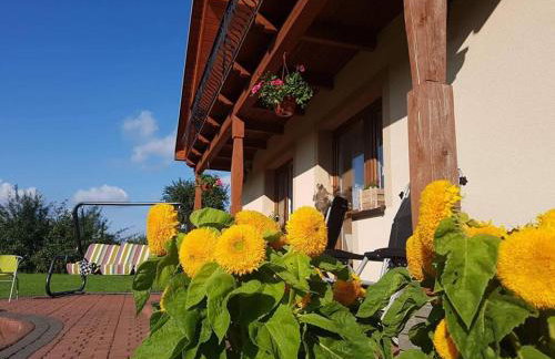 Noclegi u Agatki - Foto 13