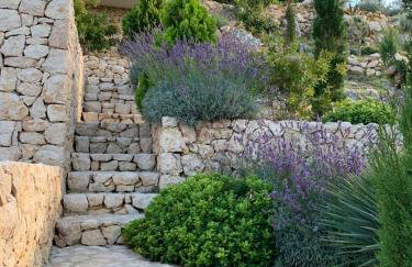 Shimmer & Shine - Foto 18