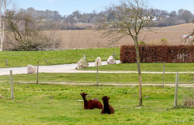 3 bedroom House in Broager - Photo 2