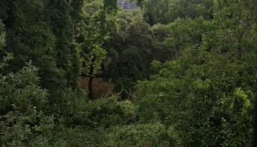 Casa El Collado - Foto 5