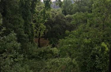 Casa El Collado - Foto 5