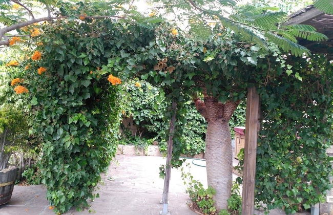 Casas Rurales Los Gavilanes - Foto 37