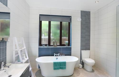 Gwylan Uchaf - Foto 23