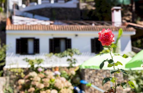 Home2Book Icod Rural Escape Pool BBQ - Foto 23