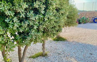 Villa Misangi - Foto 54