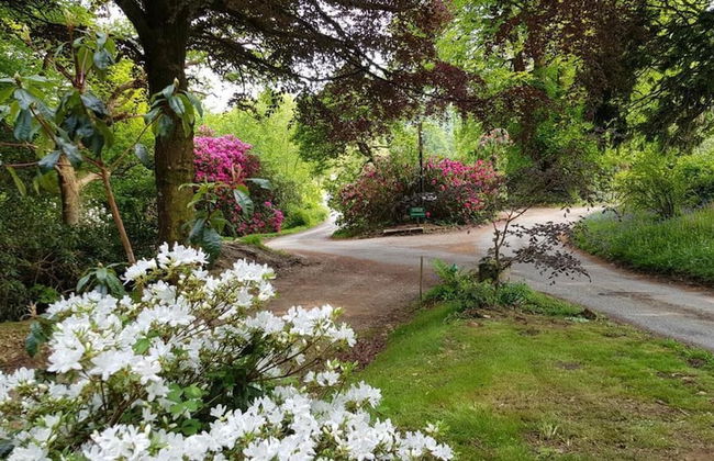 Davy Cottage in the Countryside With Horse Riding - Photo 22