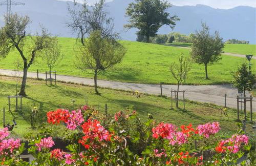 Heissenhof Urlaub auf dem Bauernhof - Foto 13