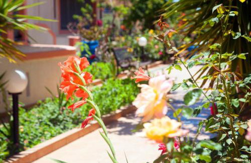 Palmira Apartments - Foto 76