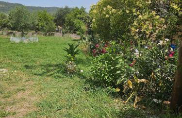 Mitsos House - Foto 17