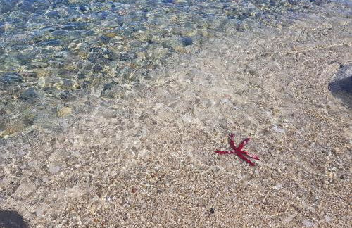 Villetta Cinzia Vista Mare - Foto 30