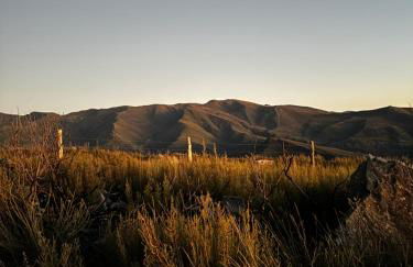 Lar da cima - Foto 59