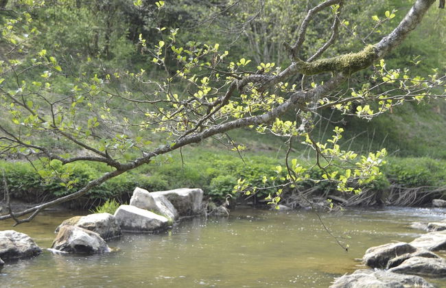 Pet-friendly Escape in Fauvillers - Foto 45