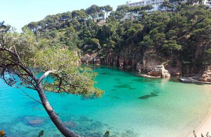 Ca la Pepa - Foto 27