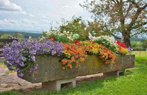 Ferienwohnung Werner mit Terrasse - Foto 27
