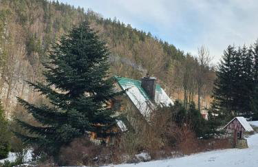 Dom w Górach Sowich Niedźwiedzia Gawra, Michałkowa - Foto 45