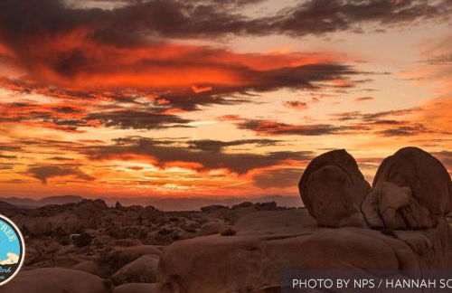 Joshua TreeYucca Valley Sunset Desert Retreat 6425 - Foto 60