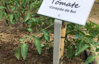 Casa da Horta - Foto 51