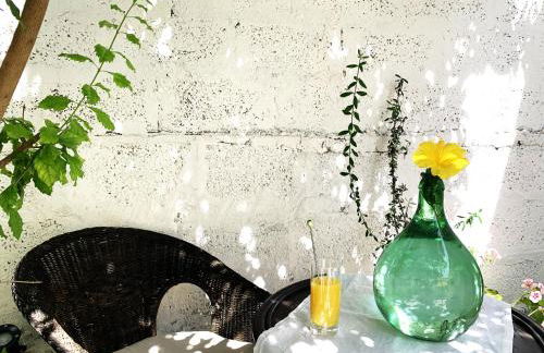 Tap Apartments - in Independent House with Private Garden - Photo 24