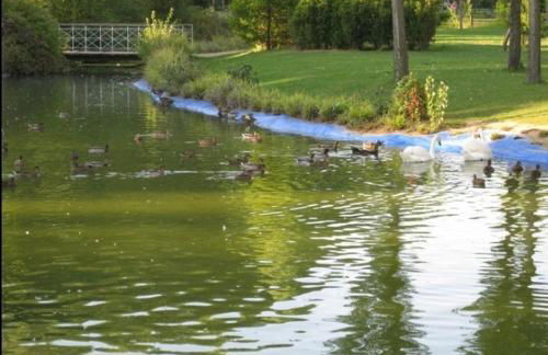 EL RINCÓN DE CHAVELY Estancia minima 2 noches - Foto 46