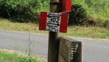 Fattoria Cristina - Fenice - Foto 3