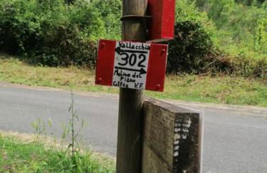 Fattoria Cristina - Fenice - Foto 3