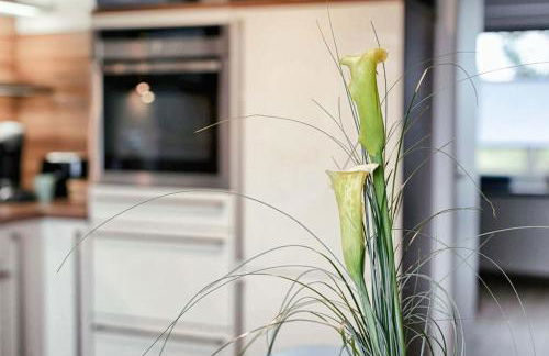 Fuchs & Hase Ferienhaus - Photo 30