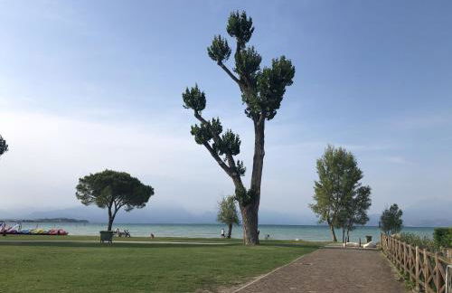 Oasi dell Anima - BGL - Foto 24