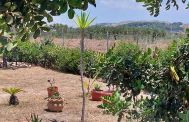 Casa Palombara - Healiday in Torre Salsa - Foto 74