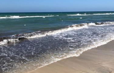 Trullo Totoli Gallipoli Salento - Foto 33