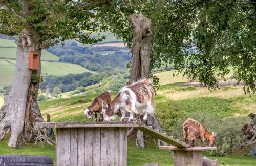 Caner Bach Lodge - Foto 38