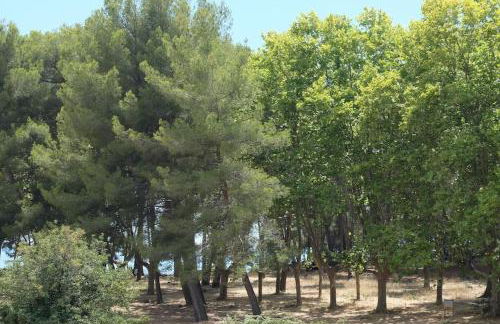 Petit paradis classé 3 étoiles à 200m de la plage! Terrasse-Wifi-Parking-clim - Foto 66