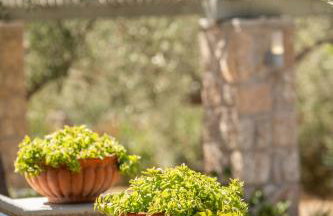 Villa dell'Olio - Foto 49