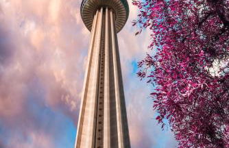 Alamo City Haven - Foto 27