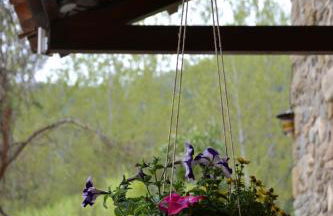 Mas Franch - Foto 59