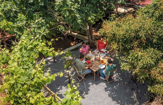 Vacations in the Countryside - Casinha dos Canhas - Foto 29