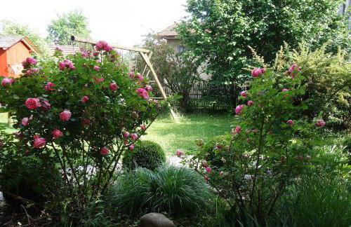 Appartement - Ferienwohnung - FeWo Obernkammer - Foto 17