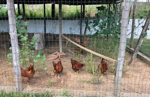 A Casa Amarela - Foto 20