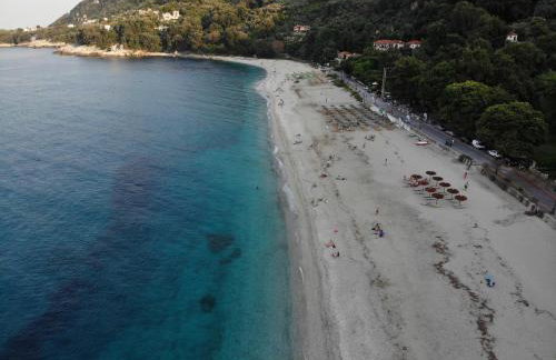 Ammos papanero - Foto 20