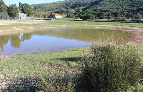 Pro Touristic Montejunto Villas - Foto 54