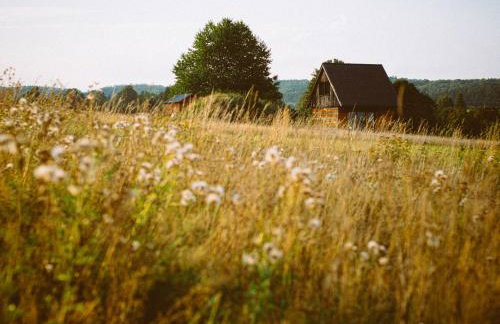 Przewietrzona Głowa - Foto 46