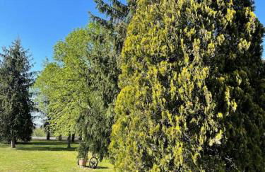 La Cassina: accogliente appartamento in campagna - Foto 15