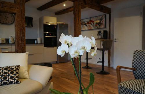 Gîte Du XVe - Photo 11