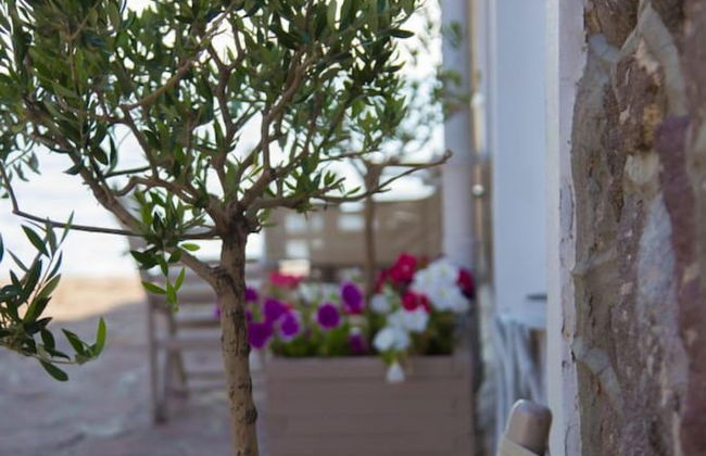 Olive Press Hotel & Apartments - Foto 56