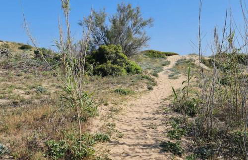Atollo di Salve,alle Maldive del Salento Pescoluse - Foto 22