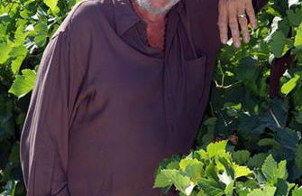 Pavillon Grazel GRUISSAN - Foto 3