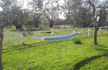 Apartments Relax Zone - Foto 74