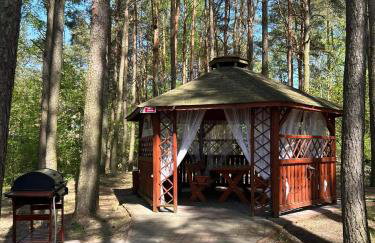 Brzozowy zakątek - Foto 22