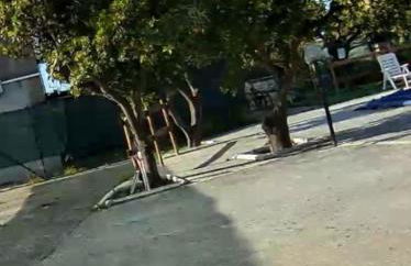 House Cefalù 1915 - Foto 58