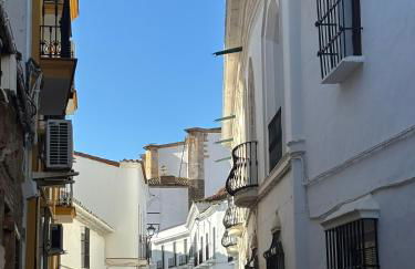 MARIDAJE Casa-SPA de enoturismo rural TR-BA-00309 - Foto 52