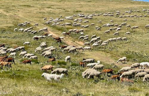 Casale Della Maiella - Foto 20